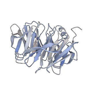 17828_8pqy_C_v1-0
Cytoplasmic dynein-1 motor domain bound to LIS1