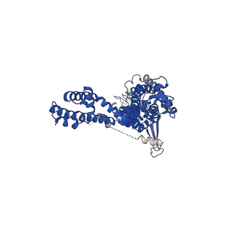 20449_6pqo_B_v1-1
Cryo-EM structure of the human TRPA1 ion channel in complex with the covalent agonist JT010