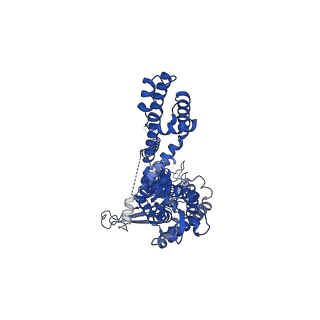 20450_6pqp_C_v1-1
Cryo-EM structure of the human TRPA1 ion channel in complex with the covalent agonist BITC