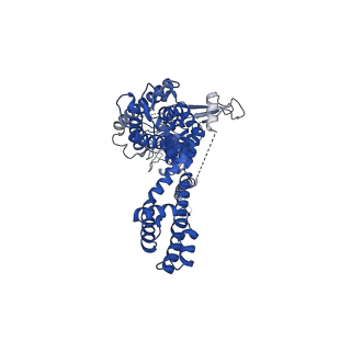 20451_6pqq_A_v1-2
Cryo-EM structure of human TRPA1 C621S mutant in the apo state