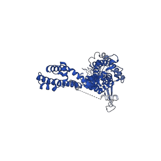 20451_6pqq_B_v1-2
Cryo-EM structure of human TRPA1 C621S mutant in the apo state