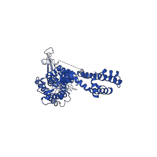 20451_6pqq_D_v1-2
Cryo-EM structure of human TRPA1 C621S mutant in the apo state