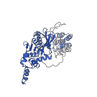 20452_6pqr_A_v1-3
Cryo-EM structure of HzTransib/intact TIR substrate DNA pre-reaction complex (PRC)