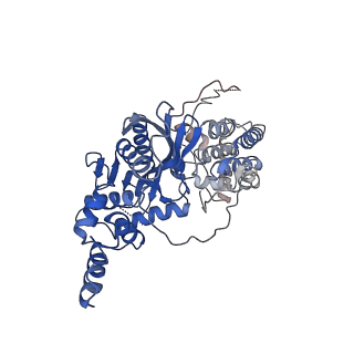 20452_6pqr_A_v1-4
Cryo-EM structure of HzTransib/intact TIR substrate DNA pre-reaction complex (PRC)