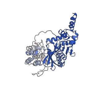 20452_6pqr_D_v1-3
Cryo-EM structure of HzTransib/intact TIR substrate DNA pre-reaction complex (PRC)