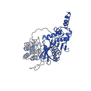 20452_6pqr_D_v1-4
Cryo-EM structure of HzTransib/intact TIR substrate DNA pre-reaction complex (PRC)