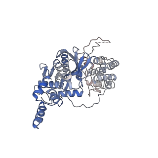 20453_6pqu_A_v1-3
Cryo-EM structure of HzTransib/nicked TIR substrate DNA pre-reaction complex (PRC)