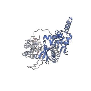 20453_6pqu_E_v1-4
Cryo-EM structure of HzTransib/nicked TIR substrate DNA pre-reaction complex (PRC)