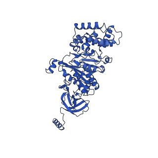 20454_6pqv_A_v1-2
E. coli ATP Synthase State 1e