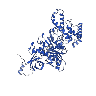 20454_6pqv_C_v1-2
E. coli ATP Synthase State 1e