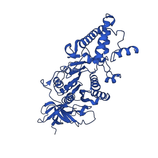 20454_6pqv_D_v1-2
E. coli ATP Synthase State 1e