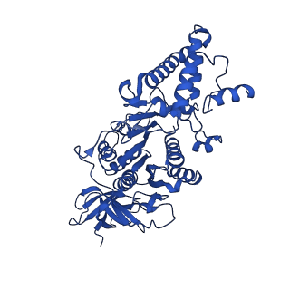 20454_6pqv_D_v1-3
E. coli ATP Synthase State 1e