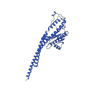 20454_6pqv_G_v1-2
E. coli ATP Synthase State 1e