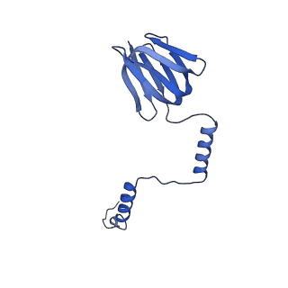 20454_6pqv_H_v1-2
E. coli ATP Synthase State 1e
