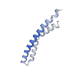 20454_6pqv_I_v1-2
E. coli ATP Synthase State 1e