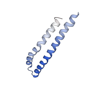 20454_6pqv_J_v1-2
E. coli ATP Synthase State 1e