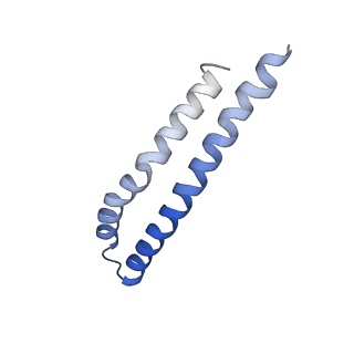 20454_6pqv_J_v1-3
E. coli ATP Synthase State 1e