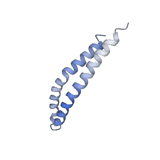 20454_6pqv_L_v1-2
E. coli ATP Synthase State 1e