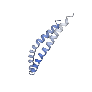 20454_6pqv_L_v1-3
E. coli ATP Synthase State 1e