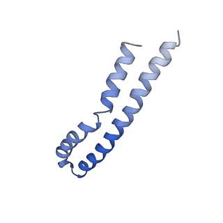 20454_6pqv_M_v1-2
E. coli ATP Synthase State 1e