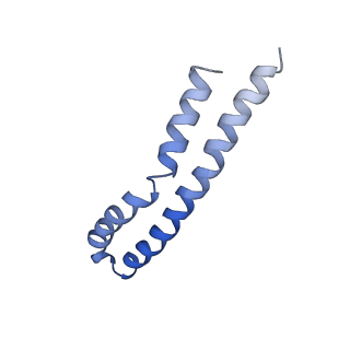 20454_6pqv_M_v1-3
E. coli ATP Synthase State 1e