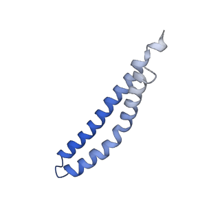 20454_6pqv_N_v1-2
E. coli ATP Synthase State 1e