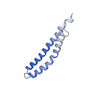 20454_6pqv_N_v1-3
E. coli ATP Synthase State 1e