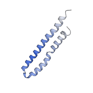 20454_6pqv_O_v1-2
E. coli ATP Synthase State 1e