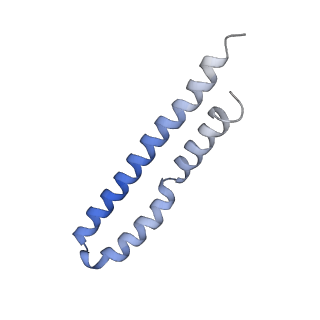 20454_6pqv_O_v1-3
E. coli ATP Synthase State 1e