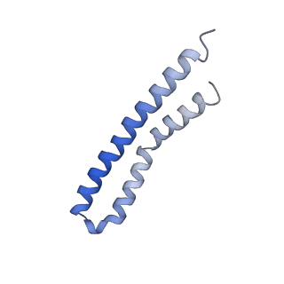 20454_6pqv_P_v1-2
E. coli ATP Synthase State 1e