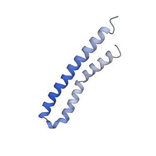 20454_6pqv_P_v1-3
E. coli ATP Synthase State 1e