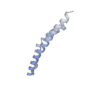 20454_6pqv_Q_v1-3
E. coli ATP Synthase State 1e