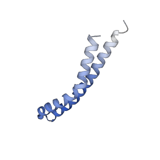 20454_6pqv_R_v1-2
E. coli ATP Synthase State 1e