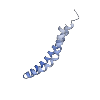 20454_6pqv_S_v1-3
E. coli ATP Synthase State 1e