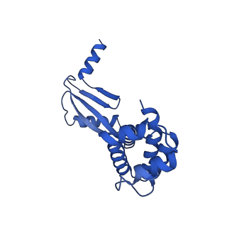 20454_6pqv_W_v1-2
E. coli ATP Synthase State 1e