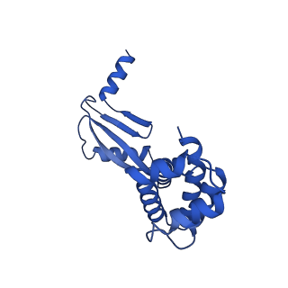 20454_6pqv_W_v1-3
E. coli ATP Synthase State 1e