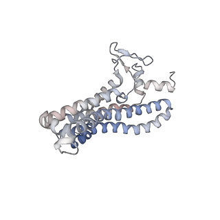 20454_6pqv_a_v1-2
E. coli ATP Synthase State 1e