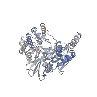 20455_6pqx_A_v1-3
Cryo-EM structure of HzTransib/nicked TIR substrate DNA hairpin forming complex (HFC)