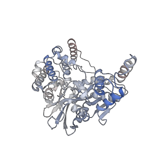 20455_6pqx_A_v1-4
Cryo-EM structure of HzTransib/nicked TIR substrate DNA hairpin forming complex (HFC)