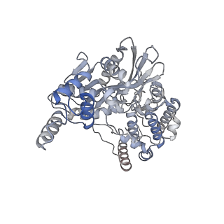 20455_6pqx_E_v1-3
Cryo-EM structure of HzTransib/nicked TIR substrate DNA hairpin forming complex (HFC)