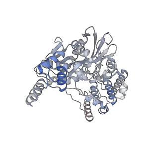 20455_6pqx_E_v1-4
Cryo-EM structure of HzTransib/nicked TIR substrate DNA hairpin forming complex (HFC)