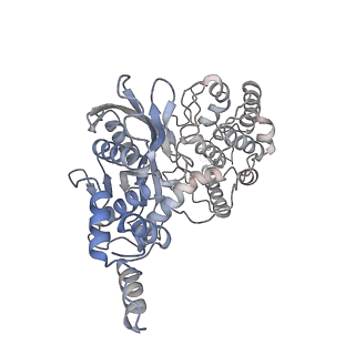 20456_6pqy_A_v1-3
Cryo-EM structure of HzTransib/TIR DNA transposon end complex (TEC)