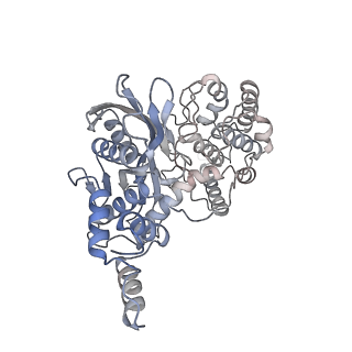 20456_6pqy_A_v1-4
Cryo-EM structure of HzTransib/TIR DNA transposon end complex (TEC)