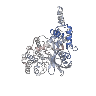 20456_6pqy_D_v1-3
Cryo-EM structure of HzTransib/TIR DNA transposon end complex (TEC)