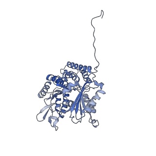 7522_7pqc_C_v1-1
tau-microtubule structural ensemble based on CryoEM data