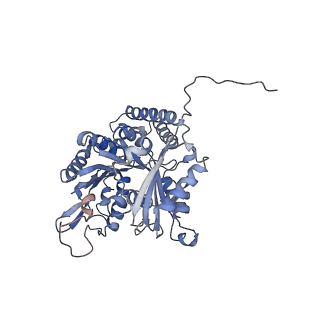 7522_7pqc_D_v1-1
tau-microtubule structural ensemble based on CryoEM data