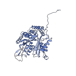 7522_7pqc_F_v1-1
tau-microtubule structural ensemble based on CryoEM data