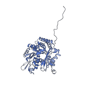 7522_7pqc_G_v1-1
tau-microtubule structural ensemble based on CryoEM data