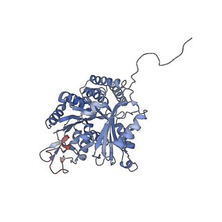 7522_7pqc_H_v1-1
tau-microtubule structural ensemble based on CryoEM data