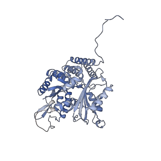 7522_7pqc_L_v1-1
tau-microtubule structural ensemble based on CryoEM data